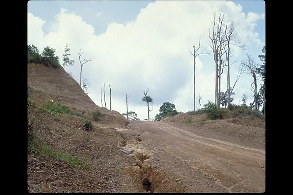 Deforestation in Brunei