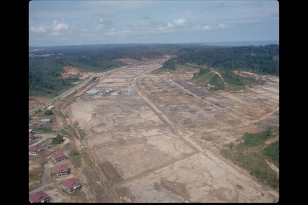 Deforestation in Brunei