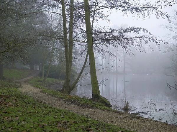 The Lake. a misty autumn day