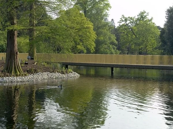 The Lake. The Sackler Crossing at Kew