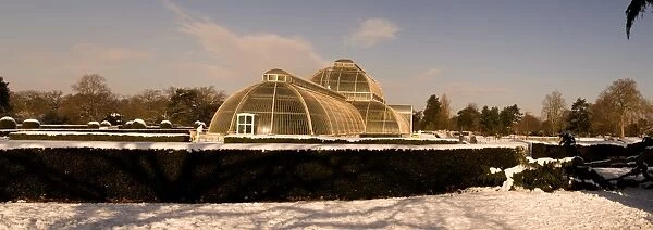 Palm House in snow