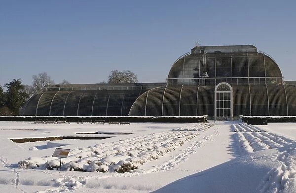 Palm House in the snow