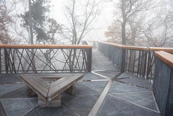 treetop walkway in the mist