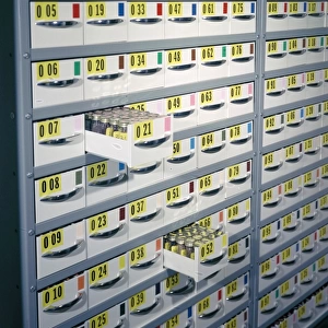 Seeds stored at the Millennium Seed Bank