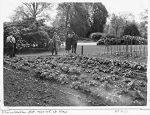 Garden visitors inspect the Demonstration Plot at RBG Kew, during WWII