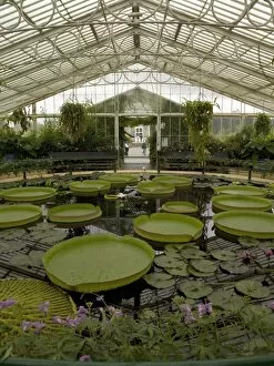 Interior of the Waterlily House