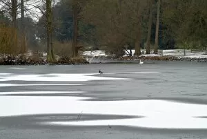 the Lake freezes