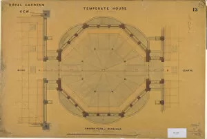 The Temperate House- plan no 12
