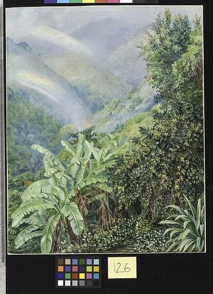 126. View from the Artists House in Jamaica, with Double Rainbo