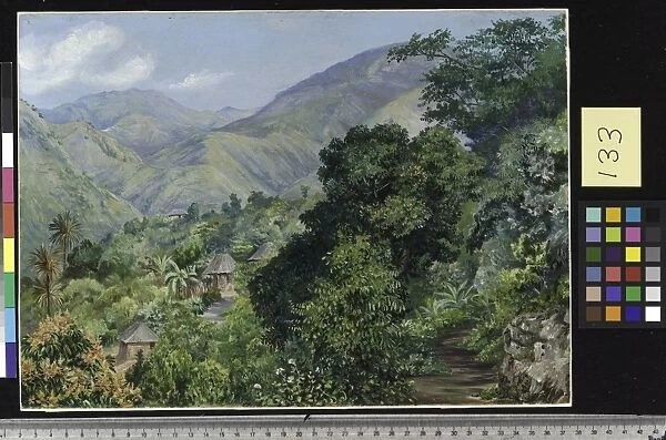 133. Distant View of Newcastle, Jamaica