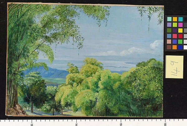 149. View over Port Royal, Jamaica, with Bamboos in the foregrou