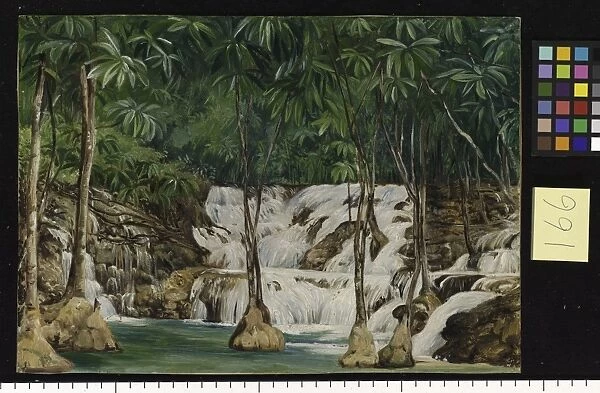 166. One of the Sources of the Roaring River, Jamaica. 166. One of the Sources of the Roaring River, Jamaica