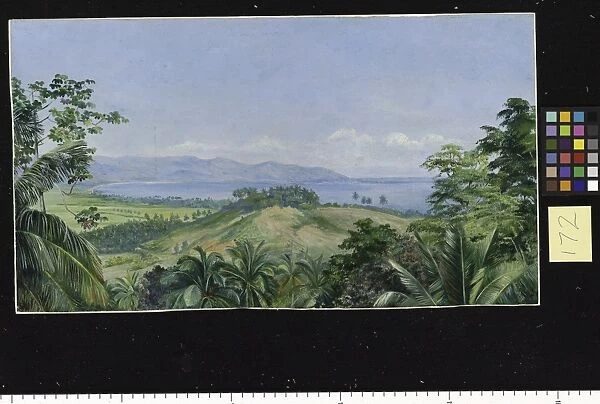 172. View from Spring Gardens, Buffs Bay, Jamaica