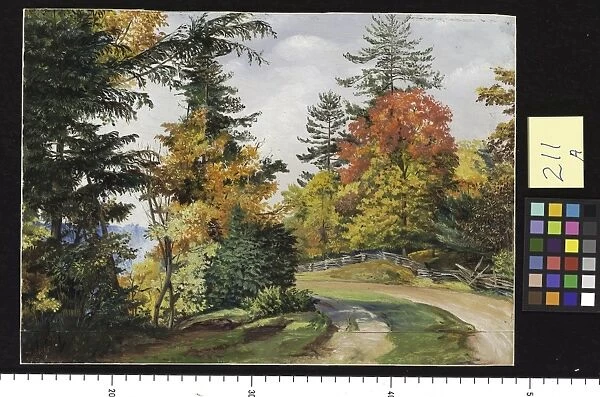 211. Autumn Tints, near Niagara, United States