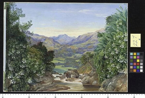 227. View from the top of the Waterfall at Ramboddy, Ceylon
