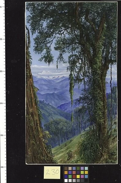 230. View from Rungaroon, near Darjeeling, India