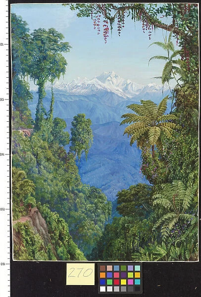 270. Distant View of Kinchinjunga from Darjeeling