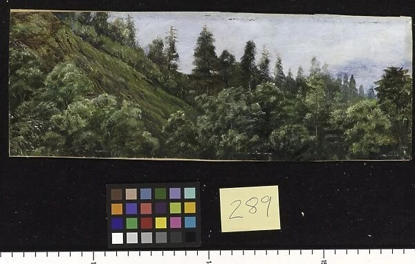 289. Pine-clad slopes of Nagkunda, North India, and view of the