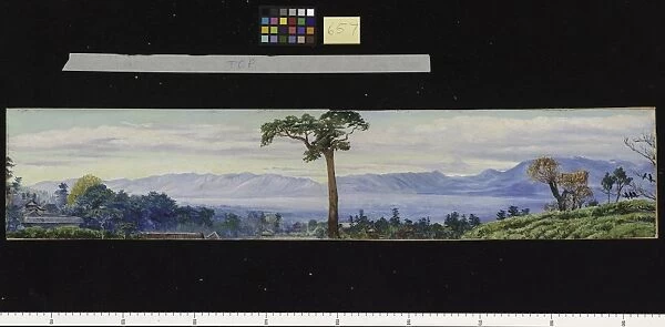 290. Pine-clad slopes of Nagkunda, North India, and view of the