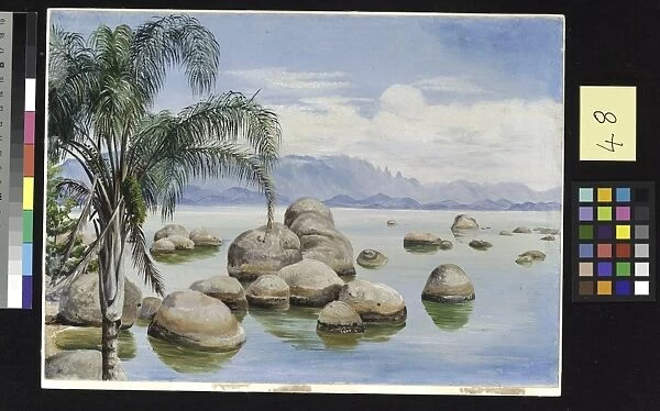 48. Palm Trees and Boulders in the Bay of Rio, Brazil