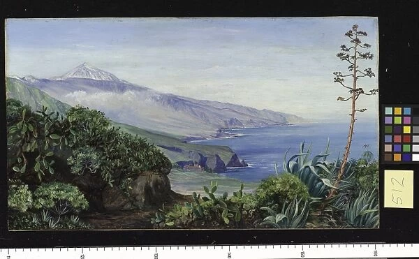 512. View of the Peak of Teneriffe
