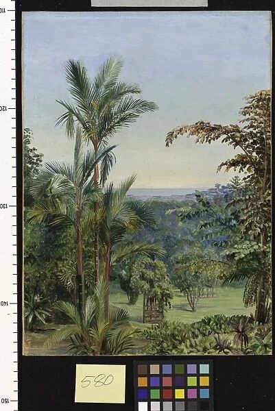 580. View of Singapore, from Dr. Littles garden