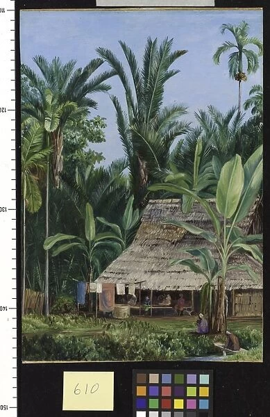 610. A Tailors Shop in the Botanic Garden, Buitenzorg, shaded b
