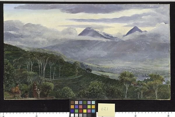 621. The Papandayang Volcano, Java, seen from Mr. Ho11es tea pl