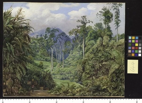 644. A Clearing in the Forest of Tji Boddas, Java, with bank of