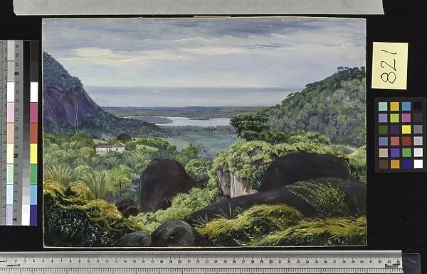 821. View near Tijuca, Brazil, Granite Boulders in the foregroun