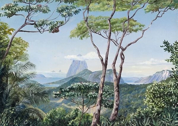 823. View of the Sugarloaf Mountain from the Aqueduct Road, Rio Janeiro