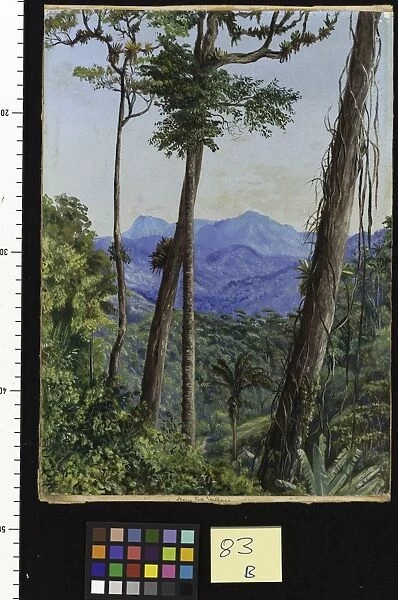 83. View from Mr. Weilhorns House, Petropolis, Brazil