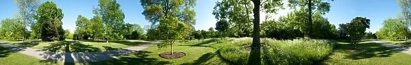 The arboretum, RBG Kew