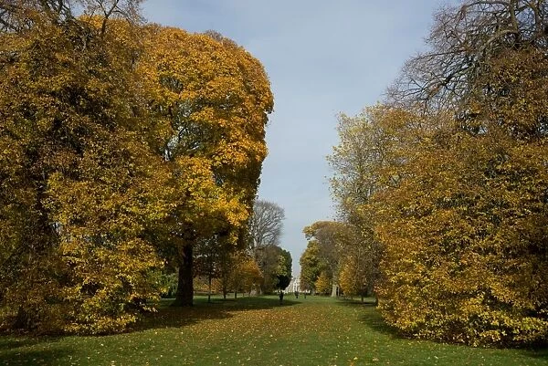 Autumn colour at Kew