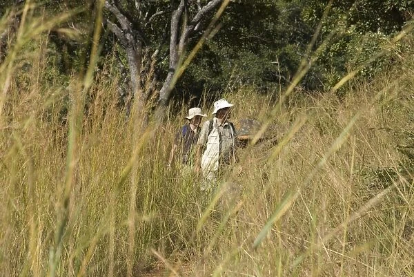 Botanic expedition to Malawi