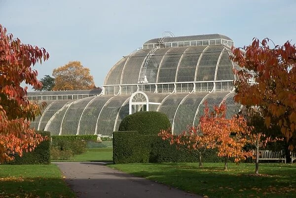 Cherry Walk and the Palm House in Autumn