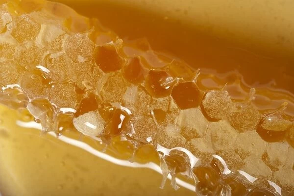 honey. close up of honeycomb