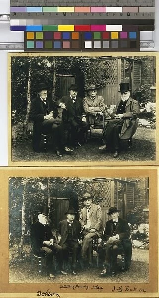 D. Oliver, Otto Stapf, W. Botting Hemsley, J. G. Baker
