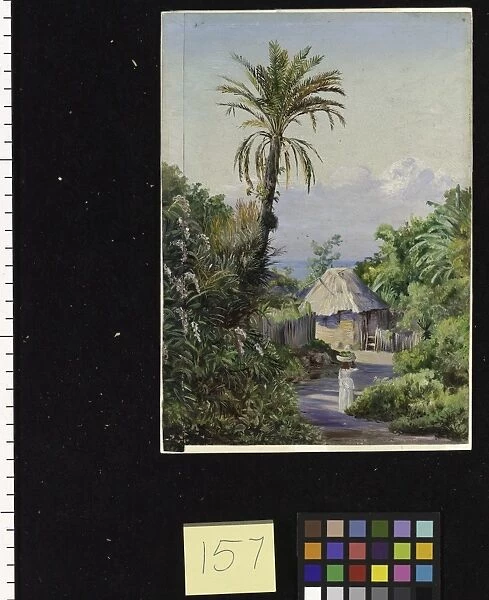 Date Palm and Hut, near Craigton, Jamaica, 1882
