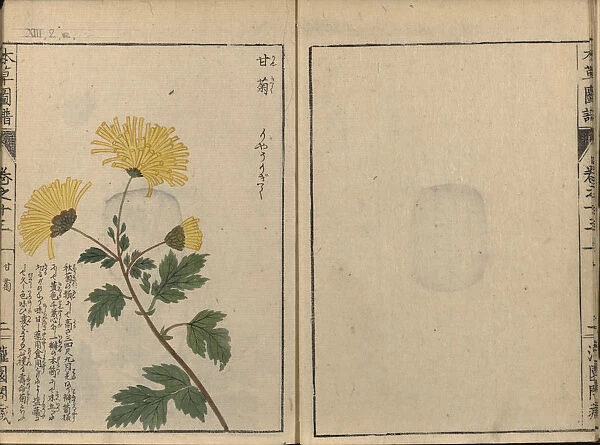 Honzo Zufu, 1821-1828