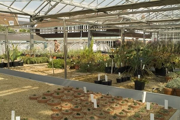 Jodrell nursery. plants in nursery grown for scientific research