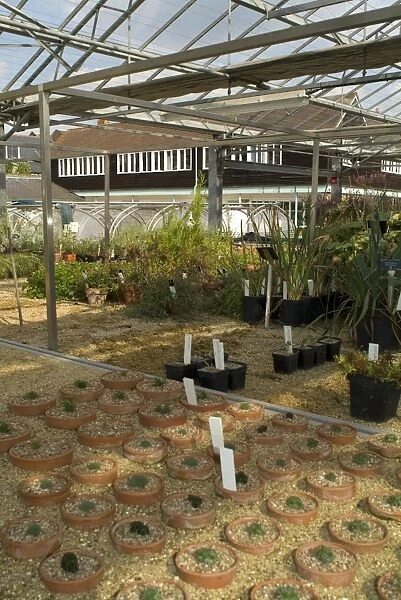 Jodrell nursery. plants in nursery grown for scientific research