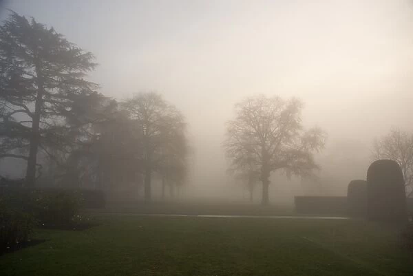 Kew Gardens in the mist