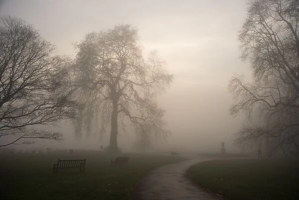 Kew Gardens in the mist