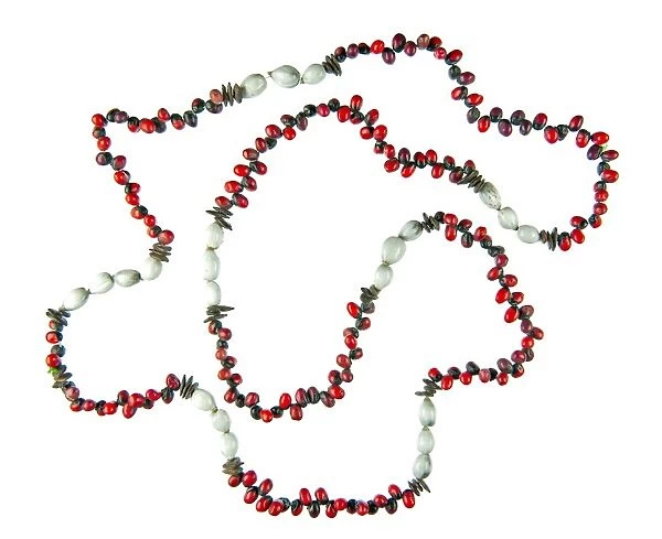 Necklace made of Abrus precatorius seeds