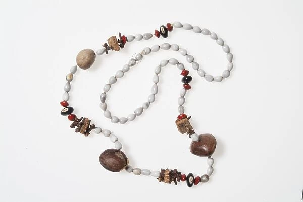Necklace of spices. Necklace with beads of Coix, Dioclea, Adenanthera, Myristica