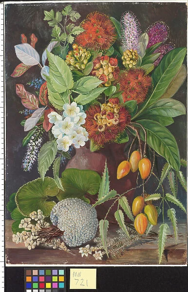 New Zealand Flowers and fruit Marianne North Painting 721