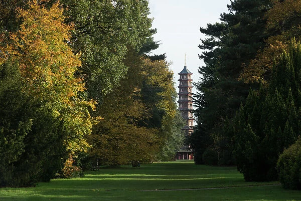 Pagoda in Autumn
