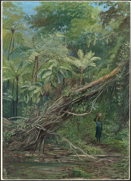 Painting 056, View under the Ferns at Gongo, Brazil