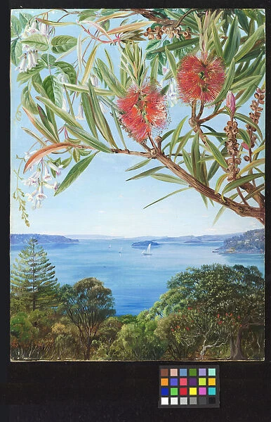 Painting 749. Two Australian Shrubs with Sydney Harbour below